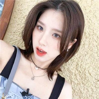 女王鲨